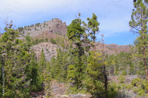 Landscapes from the "Lunar landscapes" walking route in Tenerife