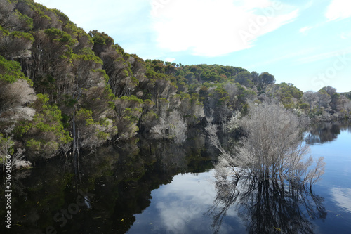 Tasmania Park Narodowy Narawntapu photo