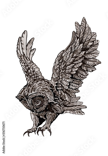 Vector grey owl isolated on white background, graphical night bird,illustration