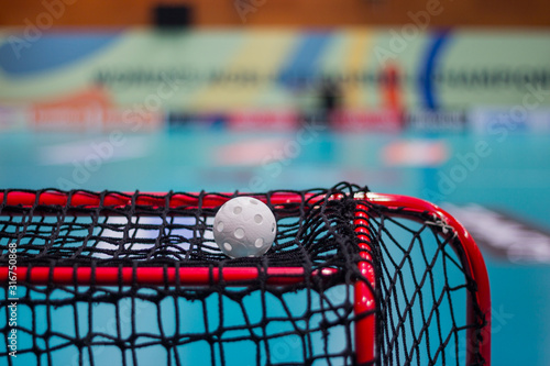 Floorball ball on the goal net 