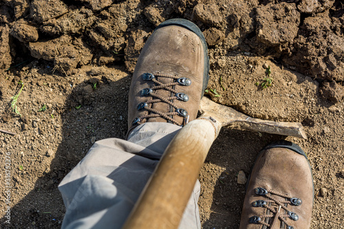 Male gardener preparing garden for spring planting. photo