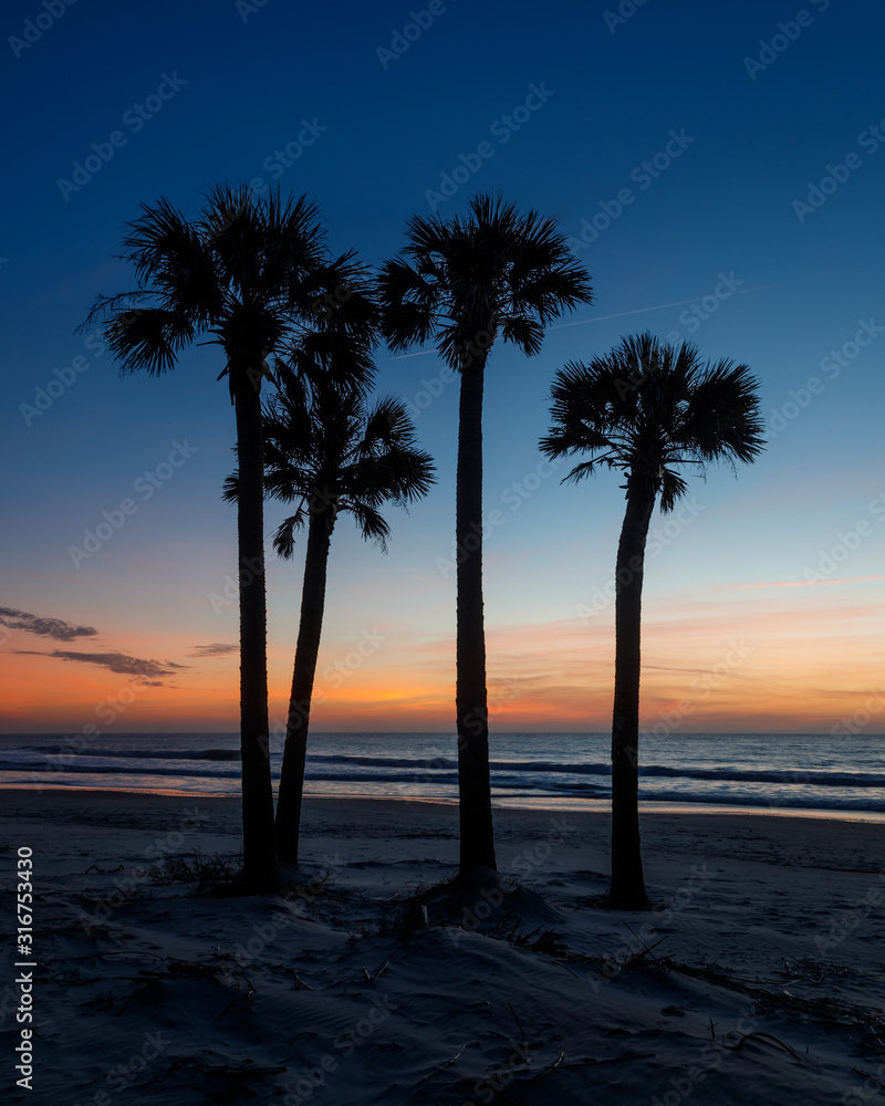 Palm Trees on a Beach at Sunrise