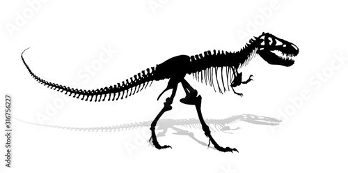 The Skeleton of ancient big dinosaur.