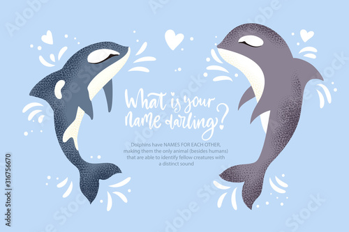 Happy valentine day vector textured dolphin animal card in a flat style with quote and real facts about love. Romantic killer whale couple illustration.