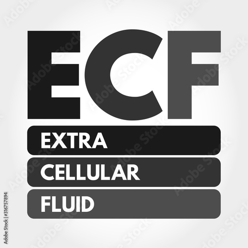 ECF - Extracellular fluid acronym, medical concept background
