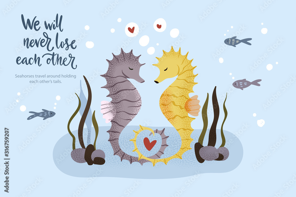 Happy valentine day vector textured seahorse animal card in a flat style  with quote and real facts about love. Romantic illustration. Seahorses swim  and hold on to their tails. Stock Vector |