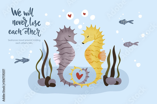 Happy valentine day vector textured seahorse animal card in a flat style with quote and real facts about love. Romantic illustration. Seahorses swim and hold on to their tails. 