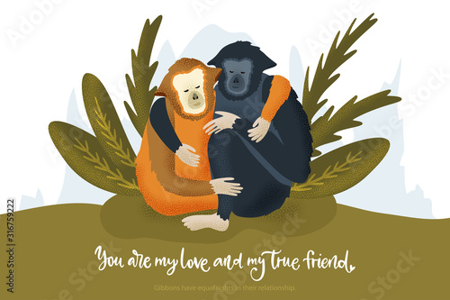Happy valentine day vector textured gibbon animal card in a flat style with quote and real facts about love. Romantic monkey illustration.