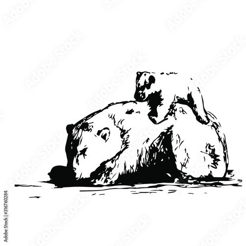 Mom & baby animals wild bear. Vector illustration on a transparent background.