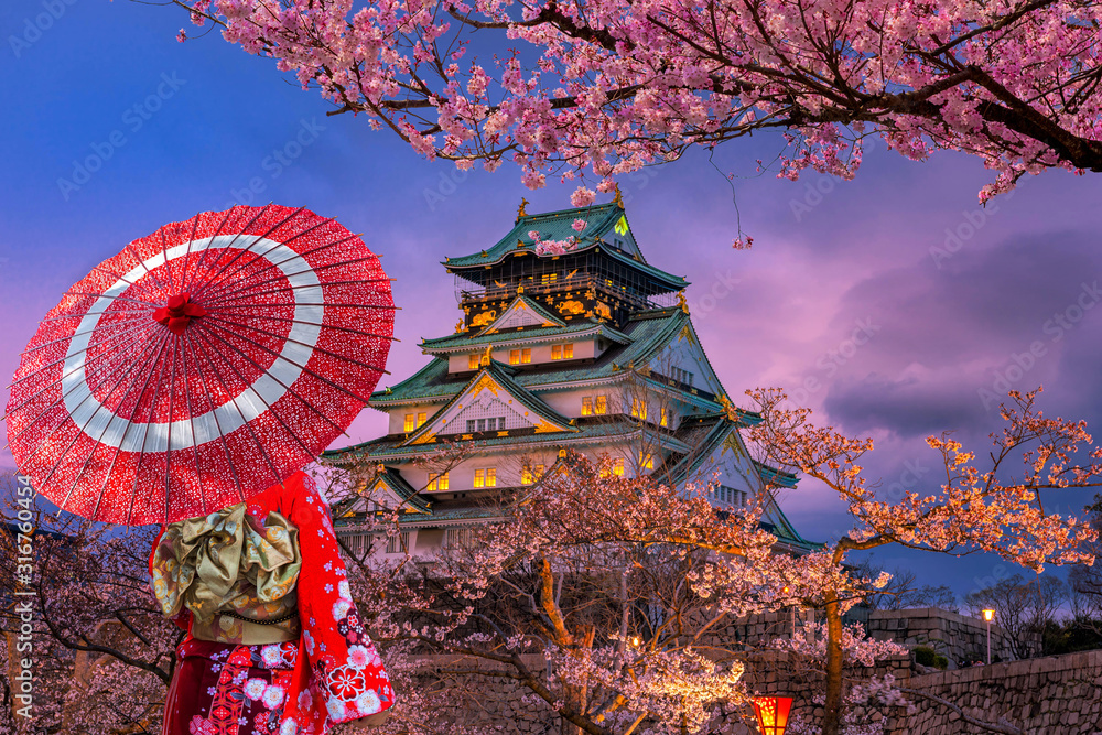 Fototapeta premium Asian women wearing kimonos See cherry blossoms in the evening around the Osaka Castle, Japan.