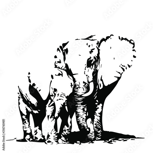 Mom & baby animals wild elephant. Vector illustration on a transparent background.