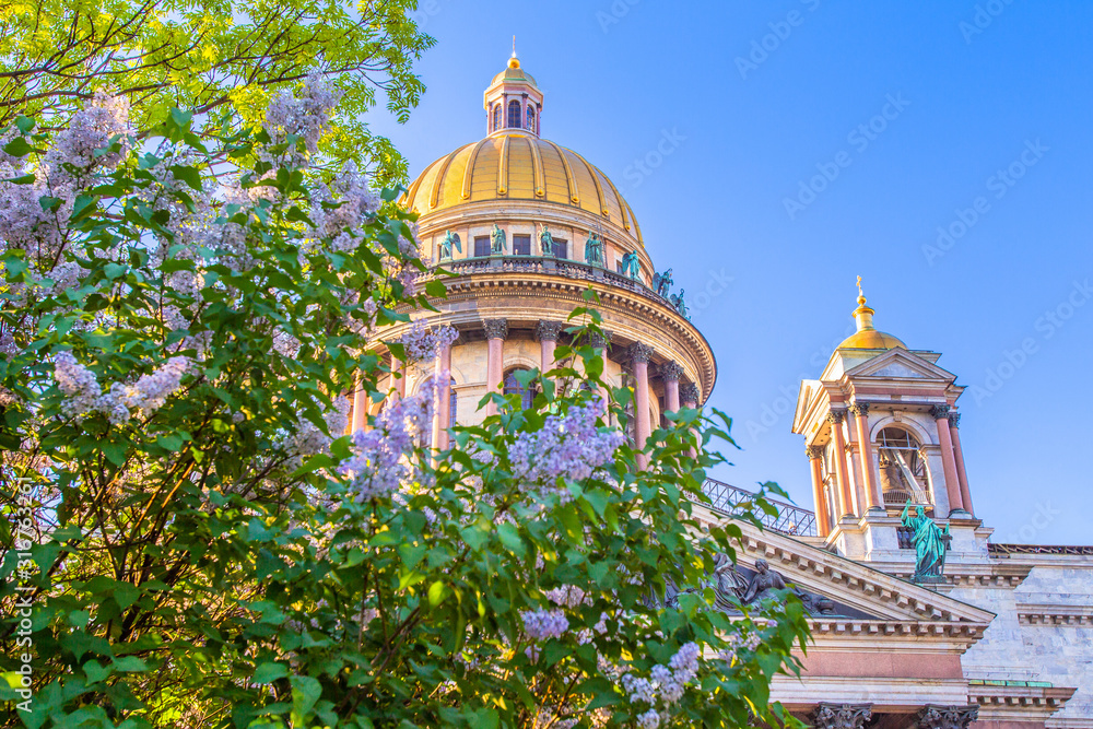 Saint Petersburg. Russia. Dome of St. Isaac's Cathedral. Lilac. Tours of the temples of St. Petersburg. Domes of the cathedral against the blue sky. Cathedrals of Russia. Russia europe.