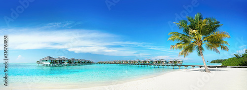 Fototapeta Naklejka Na Ścianę i Meble -  Coconut Palm tree on amazing perfect white sandy beach in island of Maldives panoramic view. Water bungalows in ocean against blue sky with clouds. Nature summer vacation background, copy space.