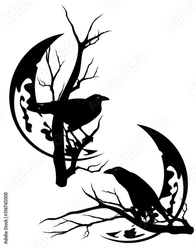 halloween night vector silhouette decor set with black raven birds and bare tree branches against moon crescent