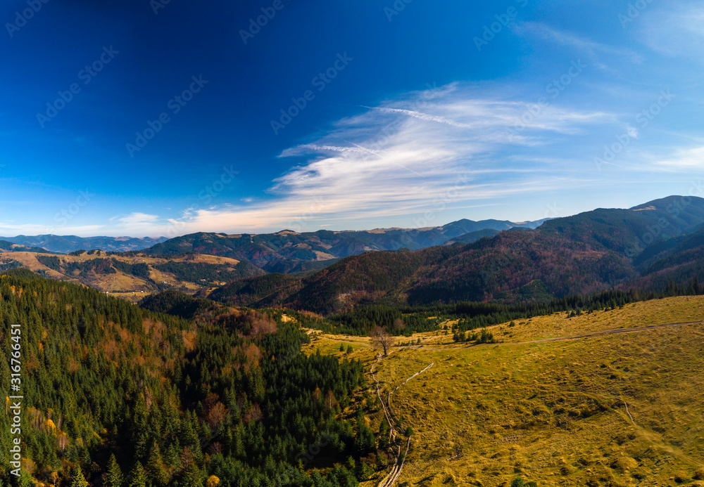 Aerial view of the beautiful autumn forest at sunset, green pine trees. Colorful landscape with mountains and hills, natural forest reserve, national park