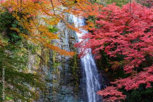 紅葉と箕面大滝