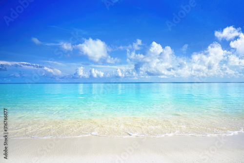 Fototapeta Naklejka Na Ścianę i Meble -  Beautiful sandy beach with white sand and rolling calm wave of turquoise ocean on Sunny day. White clouds in blue sky are reflected in water. Maldives, perfect aerial scenery.