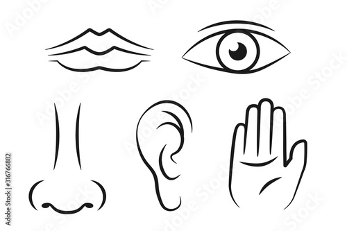 5 sense line icon set. Clipart image isolated on white background