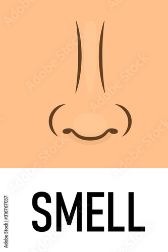 Smell sense icon. Clipart image isolated on white background