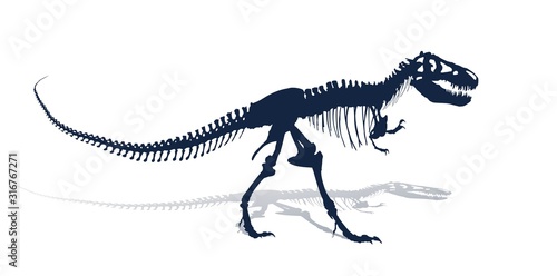 The Skeleton of ancient big dinosaur.