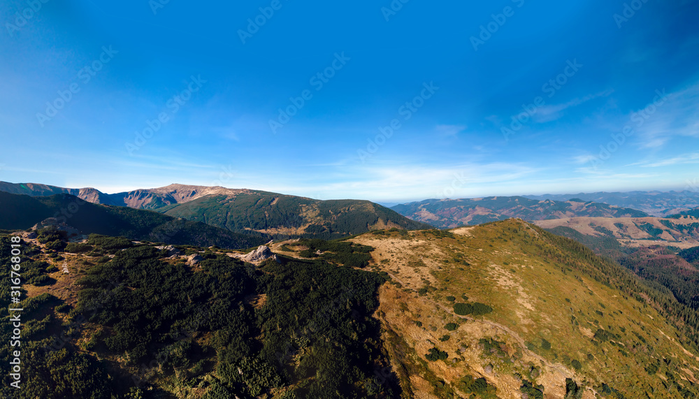 Aerial view of the Carpathian mountains, hiking trail to the peak of Pop Ivan, Mount Smotrych. alpine vegetation, blueberries and coniferous forests. Dzembronya, Ukraine Aerial view of the Carpathian mountains, hiking trail to the peak of Pop Ivan, Mount Smotrych. alpine vegetation, blueberries and coniferous forests. Dzembronya, Ukraine
