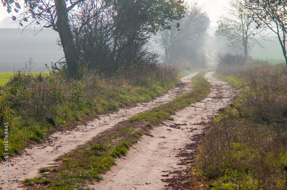 Fototapeta premium Beautiful autumn road path, trail, track.