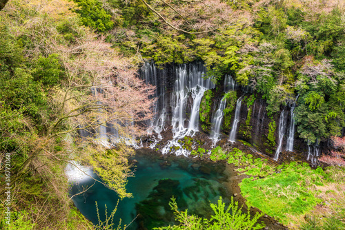 Shiraito Falls, Fujinomiya, Japan photo