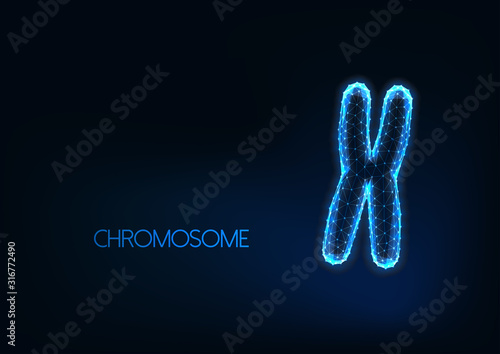 Futuristic glowing low polygonal chromosome isolated on dark blue background.