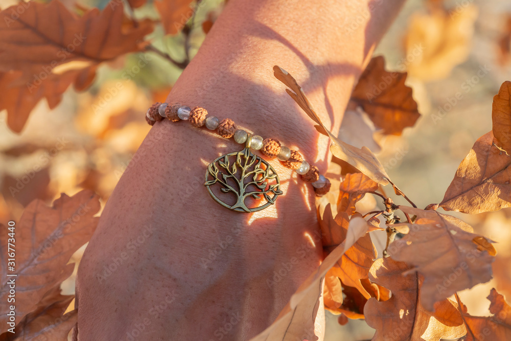 Stylish bracelet that colors autumn AI image - Stock Illustration  [108435428] - PIXTA