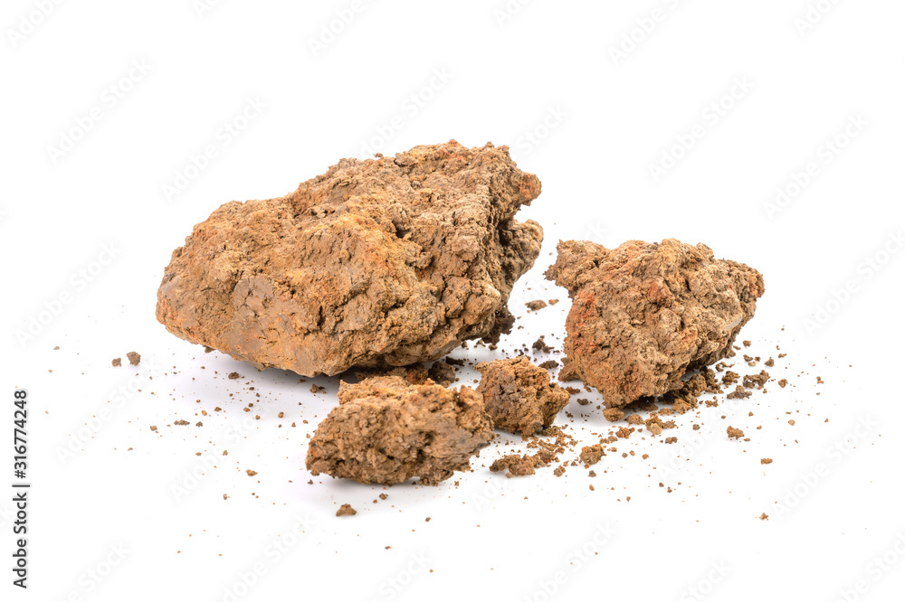 Lump of soil for planting isolated on white Lump of soil for planting isolated on white