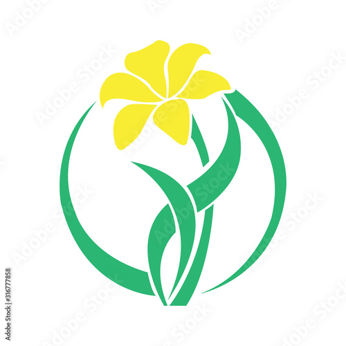 Vector Flower Logo Design