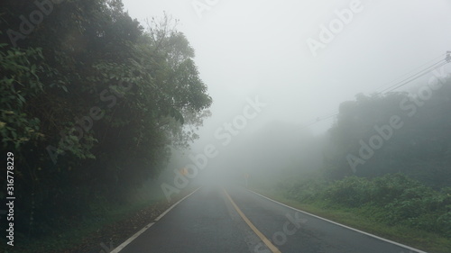 road in the fog