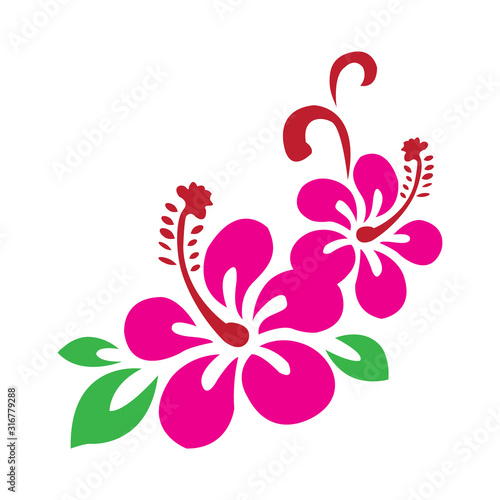 Vector Flower for Logo Design and ornament