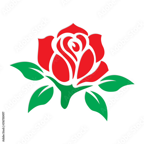Vector Flower Logo Design and ornament