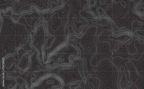 Background of the topographic map. Topographic map lines, contour background. Geographic abstract grid. EPS 10 vector illustration.