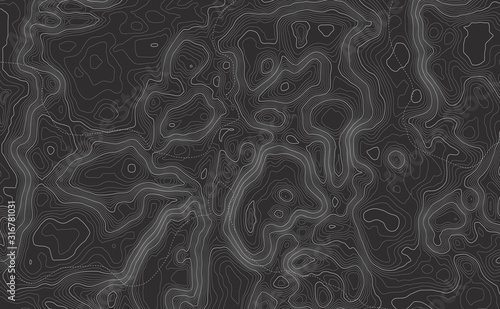 Background of the topographic map. Topographic map lines, contour background. Geographic abstract grid. EPS 10 vector illustration.