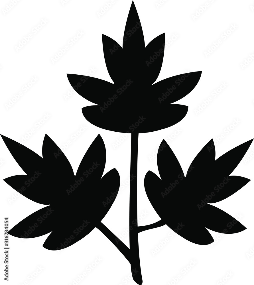 parsley icon, vector illustration parsley icon, vector illustration