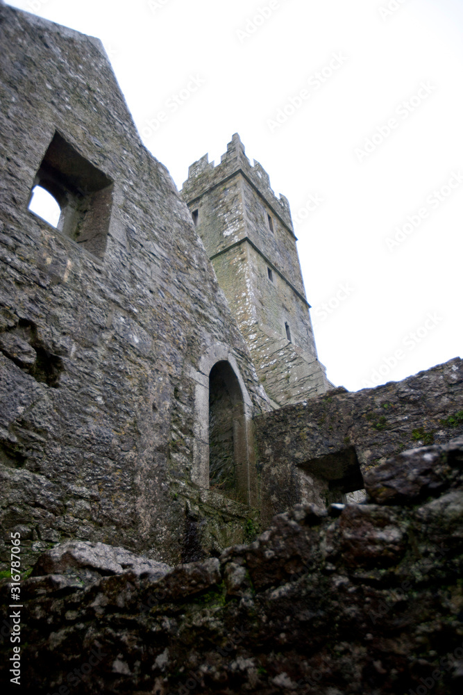Looking up to the tower of Quin Abbey, Ireland