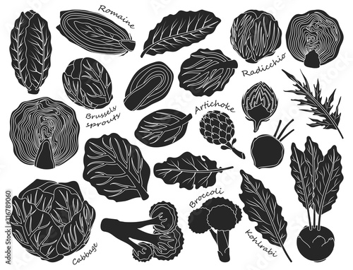Cabbage of lettuce vector black set icon.Vector illustration set vegetable food. Isolated black icon cabbage of lettuce on white background .
