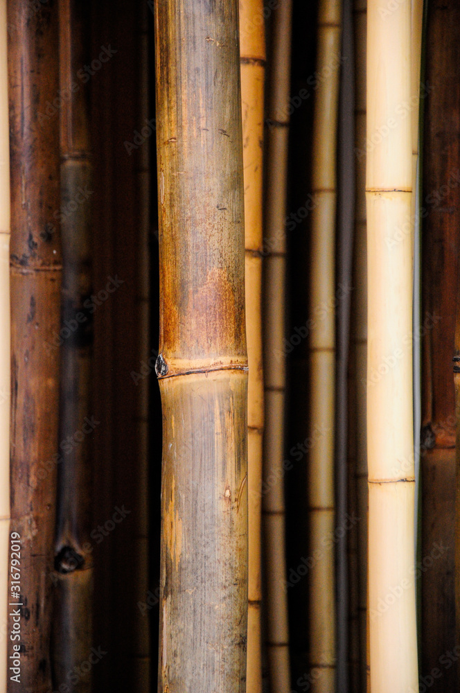 Brown and multicolored bamboo pattern Brown and multicolored bamboo pattern
