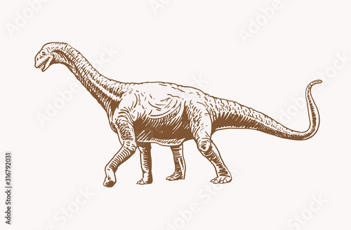 Graphical vintage diplodocus, sepia illustration,paleontology