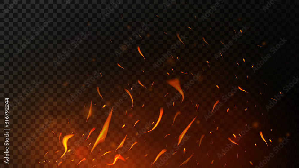 Fire sparks on dark transparent background. Flying up sparks, burning