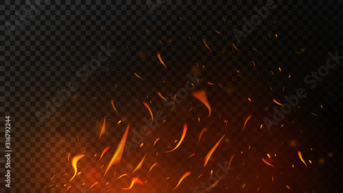 Fire sparks on dark transparent background. Flying up sparks, burning fire particles with smoke texture. Realistic flame effect