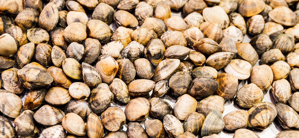 Mussels at the main city market in BArcelona, Spain. Rosselona