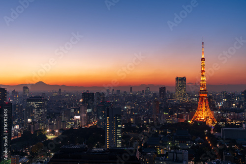 Tokyo tower and skyscrapers at magic hour