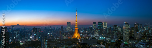 Panorama image of Tokyo tower and skyscrapers at magic hour