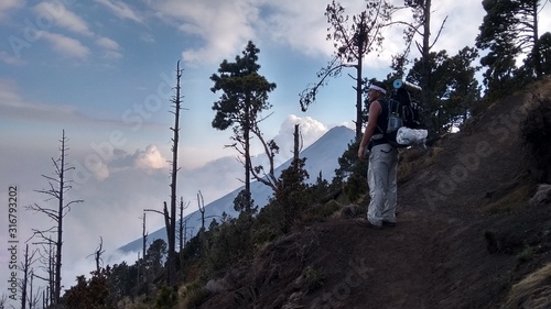 trees volcano hiking trekking backpacking