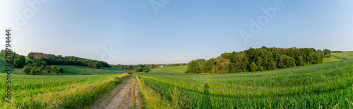 Rural road and field , spring fresh green grass and blue sky, panoramic landscape