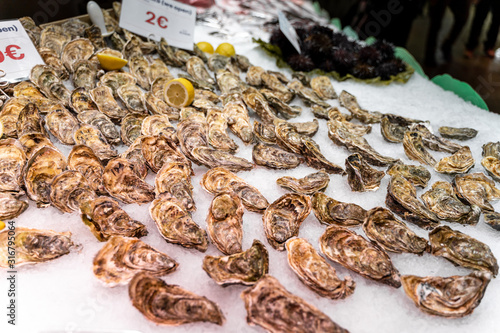 Oysters at the street market in Barcelona, Spain. Afrodisiac food