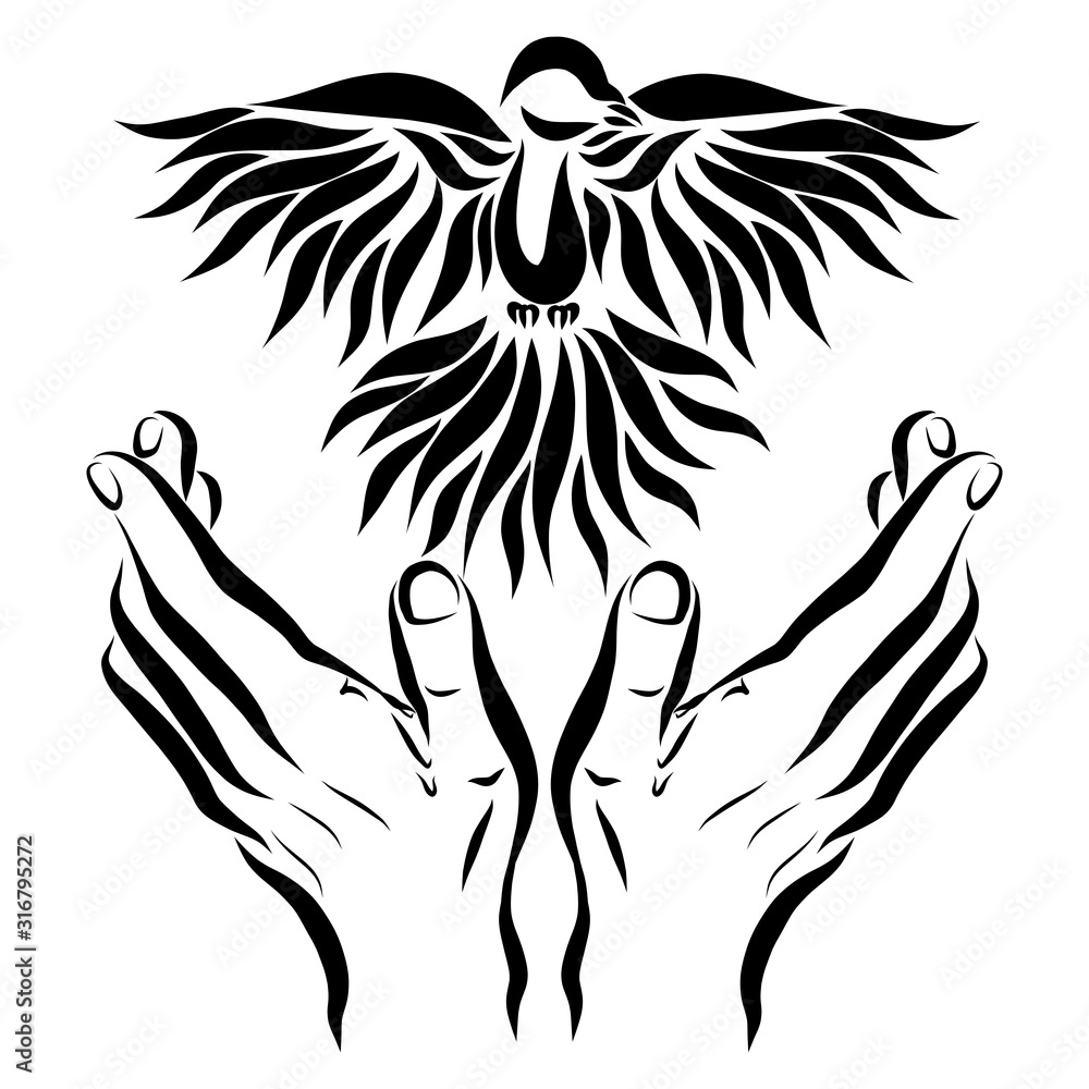 Obraz premium bird descending to the hands of man